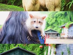 -昆明青龙峡风景区