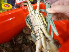 -老财炒饭·熟地蟹·冬瓜蟹