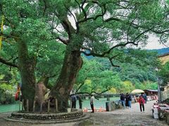 -上坦村