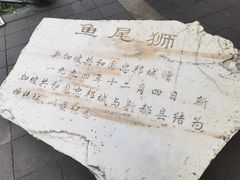 -桂湖森林公园