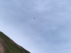 -马白开来特色羊排揪片子  (总店)