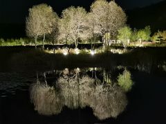 -南泥湾风景区