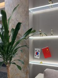-上海首尔丽格医疗美容医院