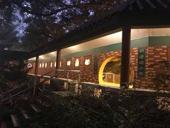 -九龙公园