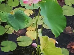 -丝绸小镇荻港古村