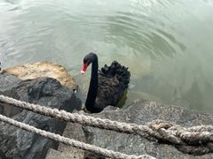 -上海怡沁园度假酒店