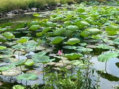 -承德避暑山庄景区