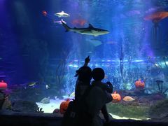 -沈阳海洋探索中心