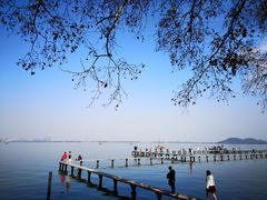 -武汉大学-樱园