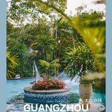 广州周末怎么玩？来一场“森系出游”吧！ 