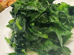 鸡油豆苗-老正兴菜馆(福州路店)