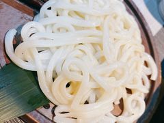 -森味薪火烧•烧鸟居酒屋•日本料理(望京店)