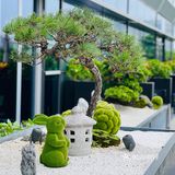 笑语连珠
