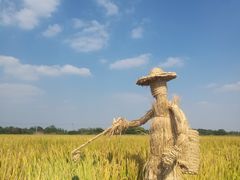 -梁鸿国家湿地公园