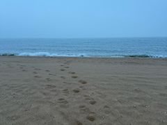 -兴城海滨风景区