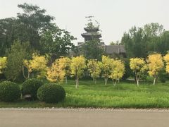 -水西公园