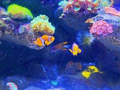 -成都浩海立方海洋公园