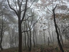 -雨花胜境