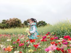 -光明小镇欢乐田园