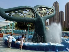 -海合安成都极地海洋公园