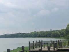 -高子水居