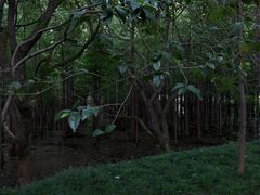 -尚湖风景区
