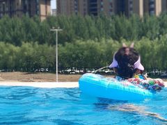 -清河半岛温泉度假酒店