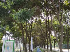 -四川大学(江安校区)