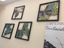 -新蝶变皮肤管理中心