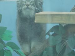 -青藏高原野生动物园