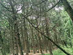 -七曲山风景区