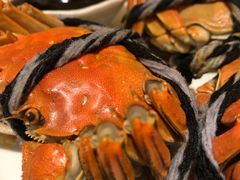 -岷山饭店-芝芝自助餐厅