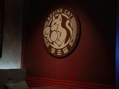 -Boxing Cat Brewery拳击猫精酿啤酒馆(永福店)