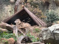 -天秀花园古月园