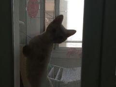 -天津洋货市场