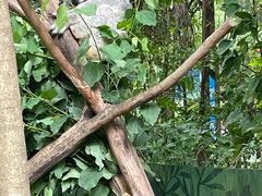 -广州长隆野生动物世界
