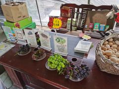 -马陆小张葡萄园农家乐