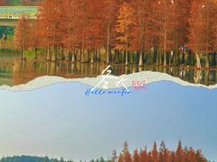 -白鹭湾湿地公园