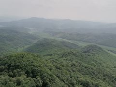 -天女山森林公园