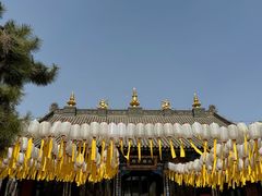 -护国法轮寺