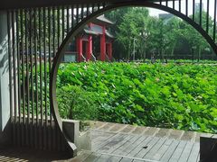 -四川大学(望江校区)