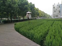 -证大喜玛拉雅中心