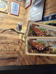 -Zoolung Zoolung动物主题公园(海信广场店)