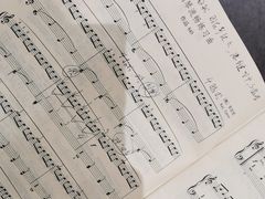 -Melody Mentor音乐私教馆(朝外·悠唐店)