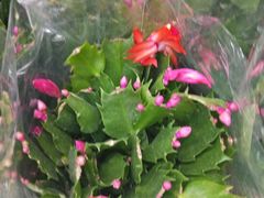 -物美超市(通州梨园店)