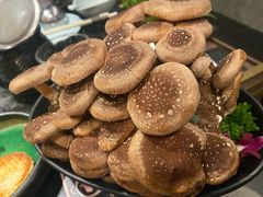 有机松香菇-捞王锅物料理(济南万象城店)