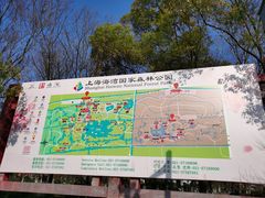 -上海海湾国家森林公园