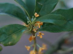 -北仑森林植物园