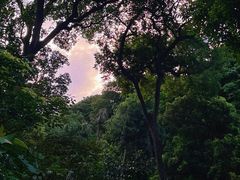 -鼎湖山风景区