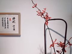 -茶是一枝花泡茶店